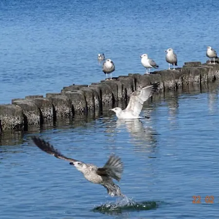 Dune 8 Comfortable Глове